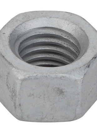 A close-up image of the AGCO Hex Nut - Acw1026890 with internal threading.