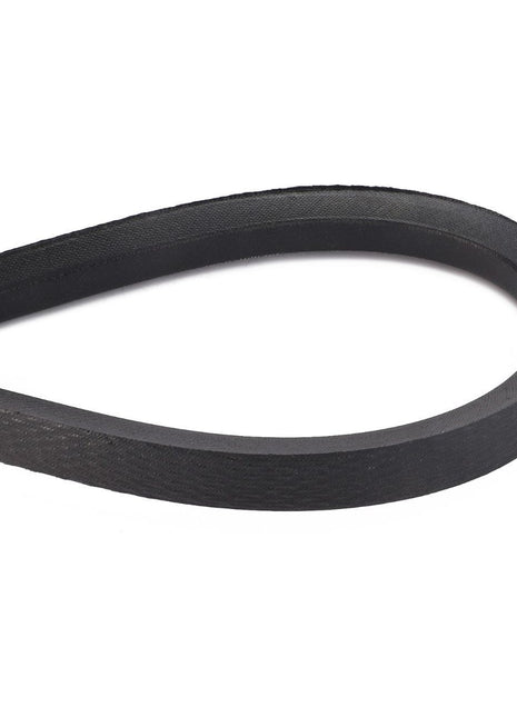 AGCO | Drive V Belt, Cleaning And Shaker Shoe Unit - D41982400 - Massey Tractor Parts