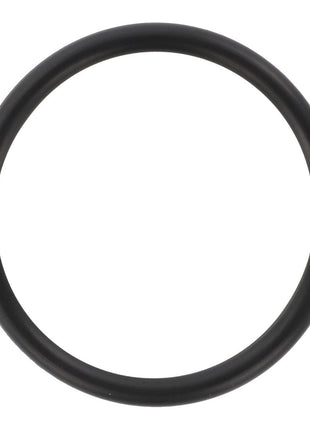 AGCO | O Ring - 1749440M1 - Massey Tractor Parts