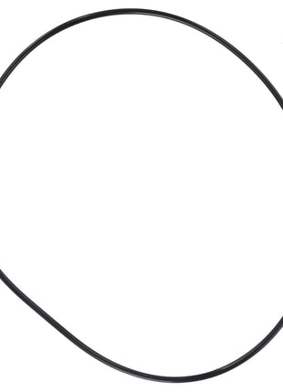 The AGCO | O-Ring - Acw1531110, a black rubber band from the AGCO brand, is shown against a white background. No current product description information is available.