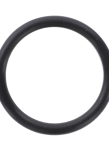 AGCO | O-Ring - 3019917X1 - Massey Tractor Parts