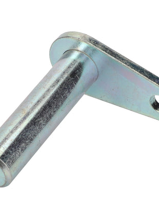 AGCO | Pivot Pin - Acw2464230 - Farming Parts