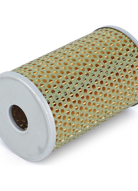 Engine Oil Filter Cartridge - F139207310511 - Massey Tractor Parts