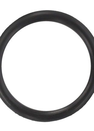 A black rubber AGCO O-Ring (D45462700) is viewed from above on a white background, with no current product description information available.