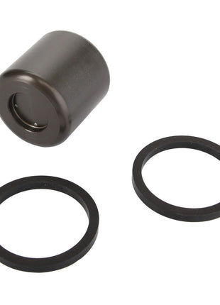 A sleek, metal cylindrical AGCO PISTON - ATV0502-606 featuring two black circular rubber rings, displayed on a white background. No current product description information is available.