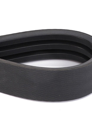 AGCO | BELT - D28274029