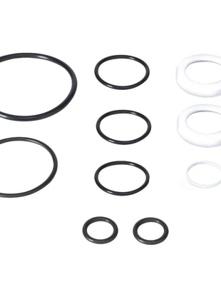 AGCO | REPAIR KIT - AG060921