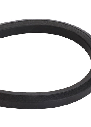 A black AGCO V BELT - D41972100 in a loop shape, partially coiled on a white background. No current product description information available.