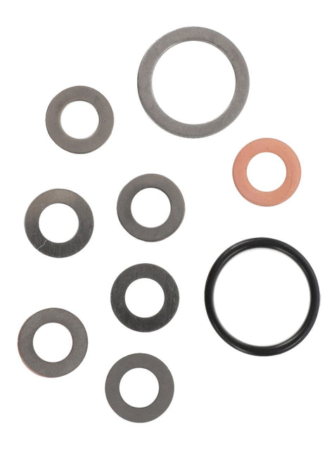 A meticulously arranged set of nine variously sized washers and one black O-ring, demonstrating engineering material specification, from the AGCO Seal Kit, Hydraulic Pump - F117940010050.