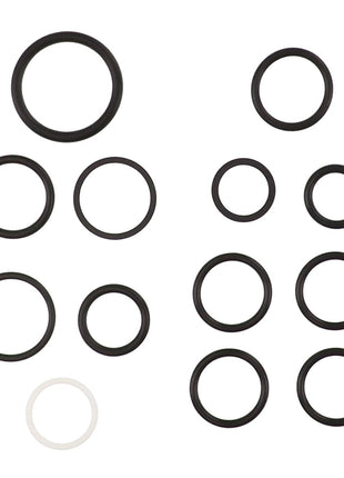 The AGCO SEALS KIT - AL5039046 features a collection of black rubber O-rings in various sizes, meticulously arranged in rows and includes one distinctive white O-ring. No current product description information is available.
