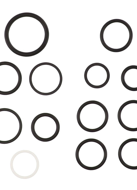 The AGCO SEALS KIT - AL5039046 features a collection of black rubber O-rings in various sizes, meticulously arranged in rows and includes one distinctive white O-ring. No current product description information is available.