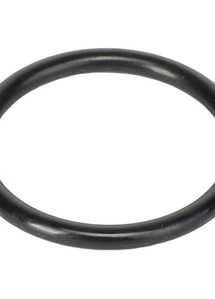 Image of the AGCO O-RING - AG609418, featuring a smooth surface and a circular shape. No current product description information is available.