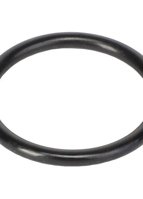 Image of the AGCO O-RING - AG609418, featuring a smooth surface and a circular shape. No current product description information is available.