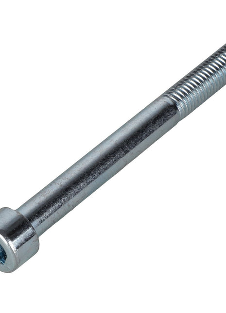 AGCO | SCREW - ACP0428120