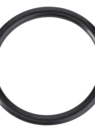AGCO | O-Ring, Ø 32,92 X 3,53 Mm - 70923718 - Massey Tractor Parts