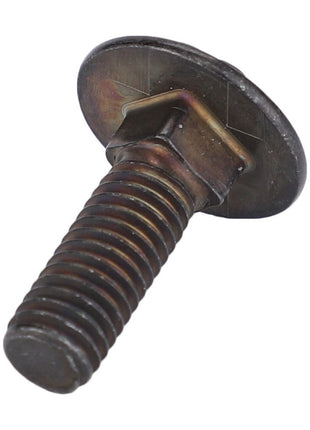AGCO | Round Head Square Neck Carriage Bolt - Acw1076250 - Massey Tractor Parts
