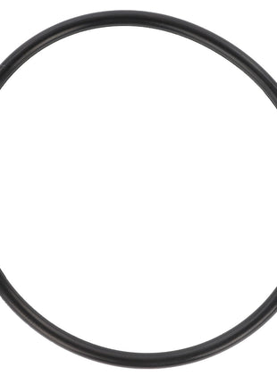 AGCO | O-Ring - D45481200