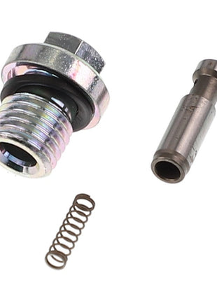 The AGCO Valve - Acp0218040 kit includes a threaded plug with a black gasket, a small cylindrical pin, and a coiled spring, all meticulously arranged on a pristine white background.