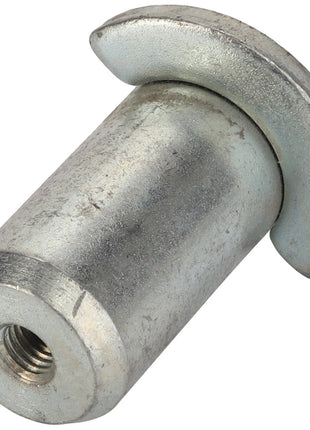 AGCO | PIN - AL1116446 is a metallic threaded cylindrical fastener with a flat, curved head on one end. No current product description information is available.
