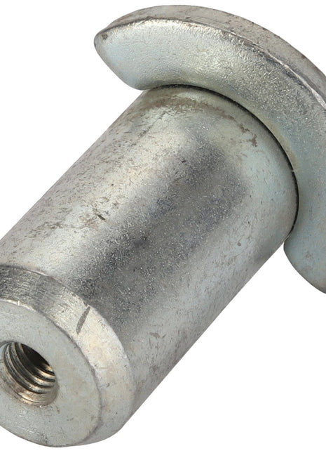 AGCO | PIN - AL1116446 is a metallic threaded cylindrical fastener with a flat, curved head on one end. No current product description information is available.