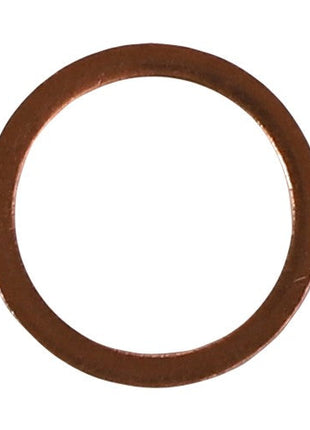 No current product description is available, but the AGCO Sealing Washer - F530200710110 is circular and flat, featuring a smooth finish.