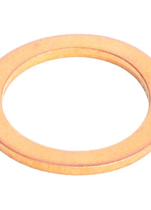 AGCO | Washer - 1118707 - Farming Parts