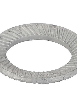 AGCO | Locking Disc - Acw0988290 - Farming Parts