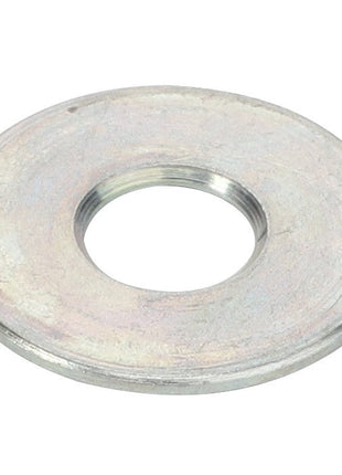 AGCO | WASHER - AL516138