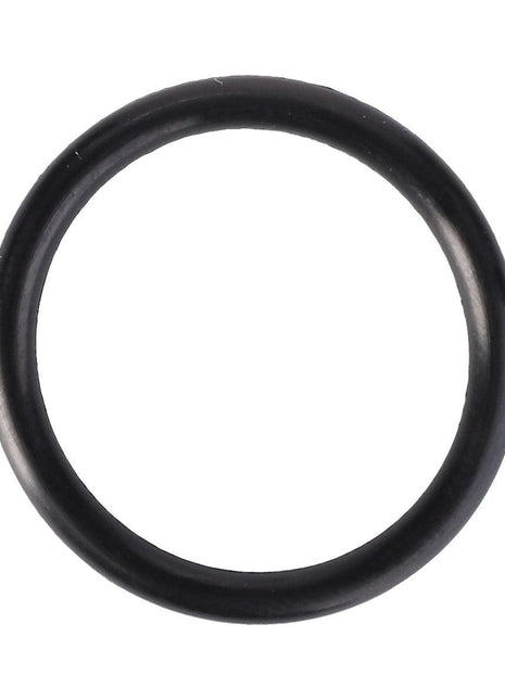 AGCO | O Ring - 365392X1 - Massey Tractor Parts