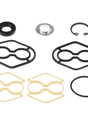 A variety of AGCO rubber and metal gaskets, O-rings, and seals from the SEALS KIT - D49070065 arranged on a white background. No current product description information is available.