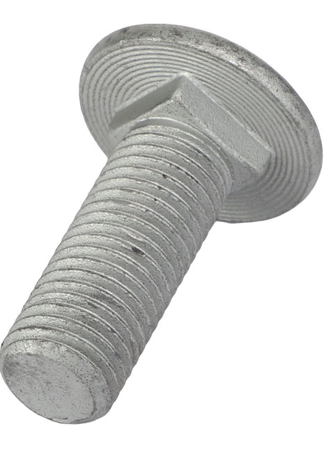 AGCO | Round Head Screw - 3009344X1 - Farming Parts