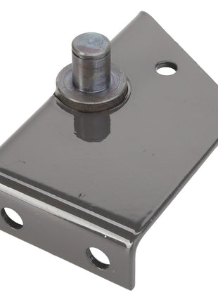 Introducing the AGCO | BRACKET - D28786228: a rectangular metal bracket featuring three holes and a protruding cylindrical pin on one side. This high-quality product is designed by AGCO to meet your specific needs.