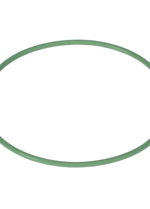 A green circular rubber gasket, AGCO | O RING - AG006571, displayed on a white background. For any questions, please contact our support team.