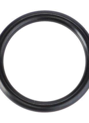 O Ring - F816860100020 - Massey Tractor Parts