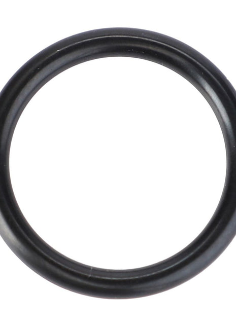 O Ring - F816860100020 - Massey Tractor Parts