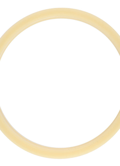 An elegant, circular AGCO GASKET - D45403700 set against a pristine white backdrop.