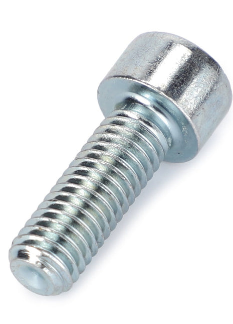 AGCO | HEX SOCKET SCREW - V30531210