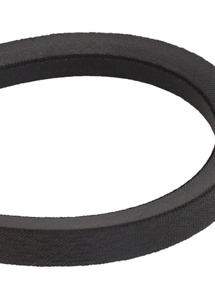 A black V-belt with a textured surface, shown coiled in a loop. No current product description information available for the AGCO | BELT - D41964400 by AGCO.