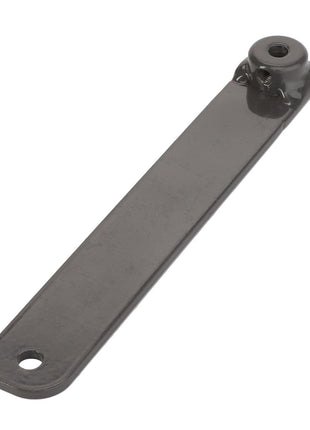 A black metal lever with holes at both ends, known as the AGCO | ARM - D28289006 by AGCO. No current product description information is available.