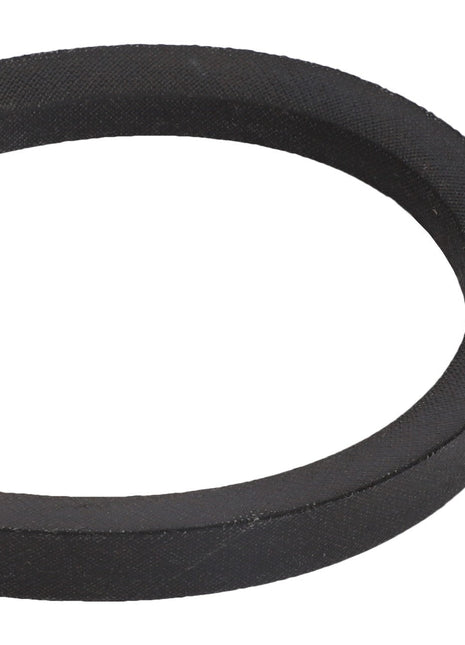 A black rubber O-ring, showcased against a plain white background, identified as the AGCO BELT - D41936700 by AGCO, with no current product description information available.