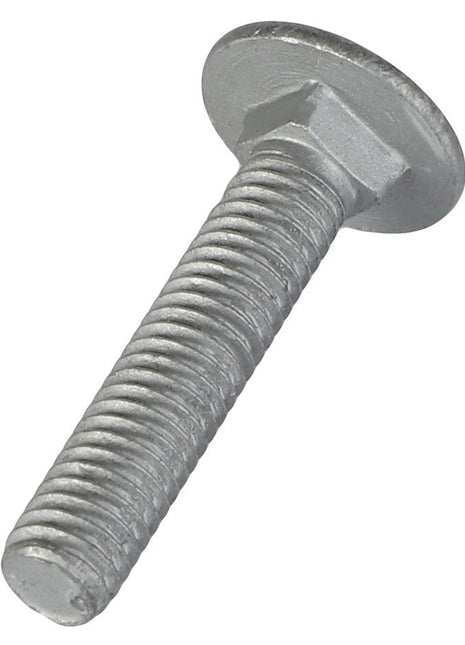 A close-up image of a single AGCO | Round Head Square Neck Carriage Bolt - Acw1059400, featuring a flat, rounded head and threaded shaft; no current product description information available.