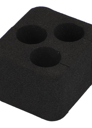 The AGCO | Gasket - Acp0669600 by AGCO is a black foam block featuring three cylindrical holes. However, more detailed product information isn't currently available.