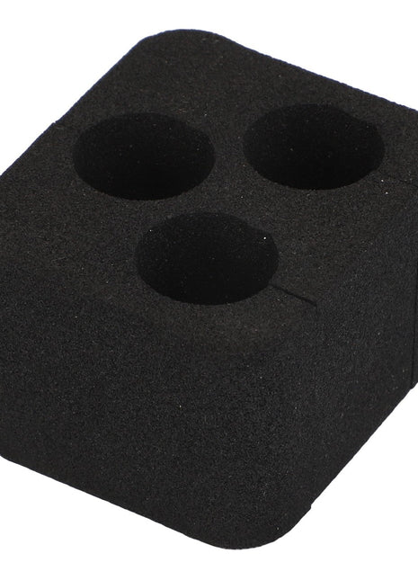 The AGCO | Gasket - Acp0669600 by AGCO is a black foam block featuring three cylindrical holes. However, more detailed product information isn't currently available.