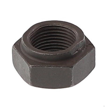 Close-up of the AGCO | Nut - 6210194M1, featuring hexagonal design and precise internal threading, essential for securely fastening objects together.