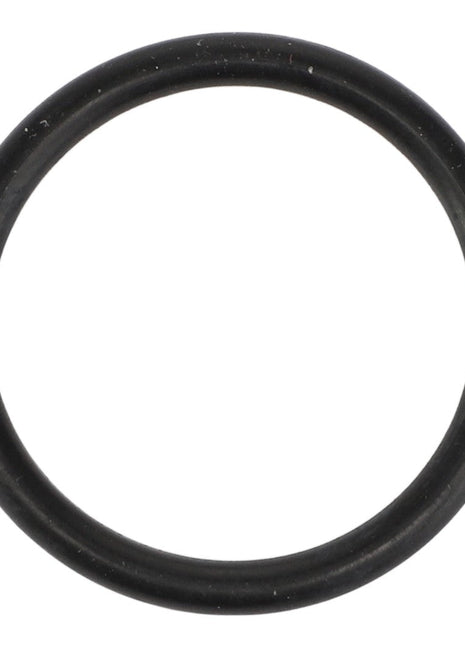 AGCO | O-Ring - 3005133X1 - Farming Parts