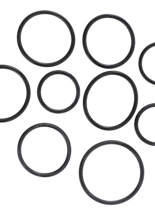 A collection of AGCO SEALS KIT - AL5036202 black rubber O-rings in various sizes is meticulously arranged on a pristine white background.