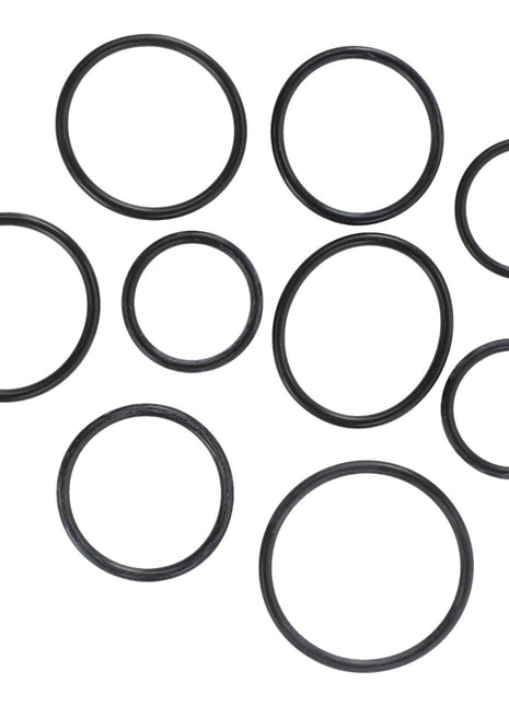 A collection of AGCO SEALS KIT - AL5036202 black rubber O-rings in various sizes is meticulously arranged on a pristine white background.