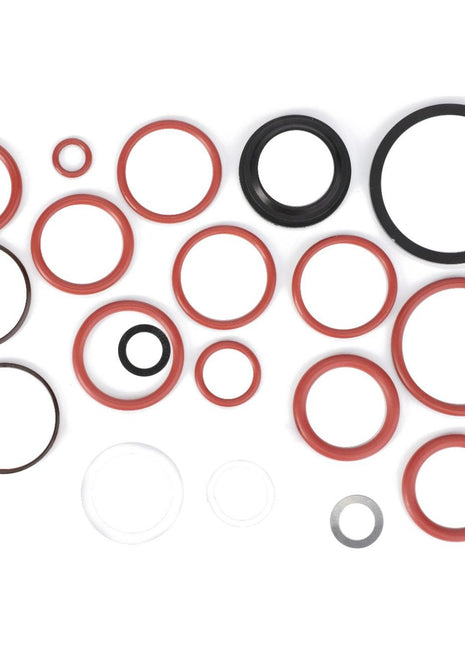 Directional Valve Seal Kit - F117961021010 - Massey Tractor Parts