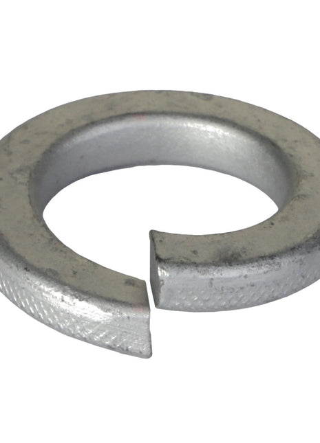 AGCO | Lockwasher - Sn2561 - Farming Parts