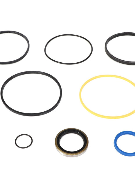 AGCO | Seal Kit - Acp0019060 - Farming Parts